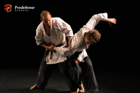 B. Training:<br>Self-defense and combat principles (level 1-5 )