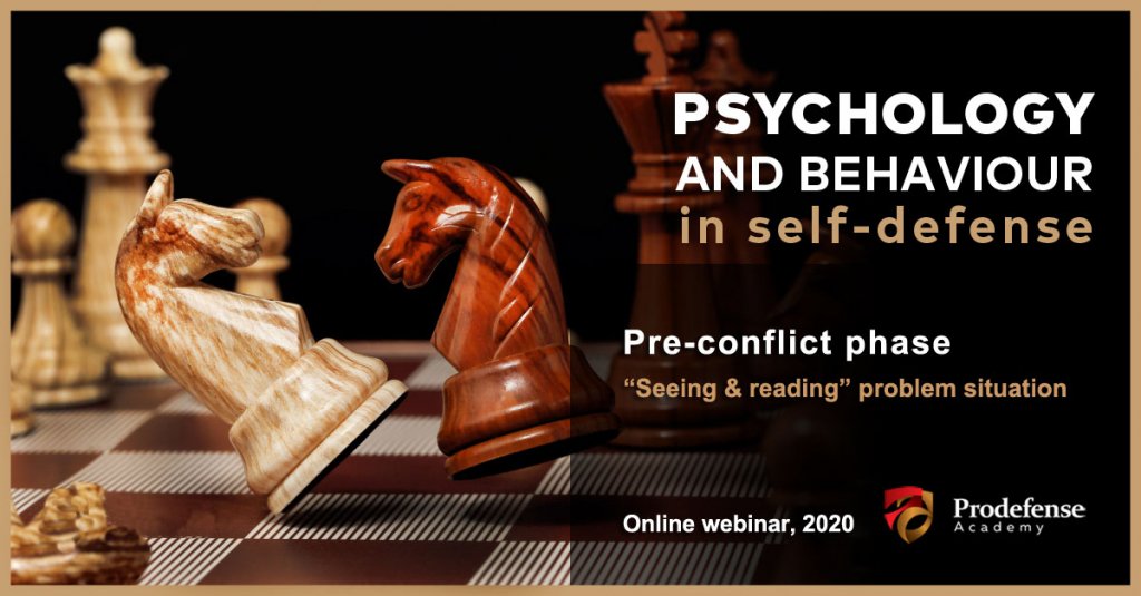 Webinar 1: Pre-conflict phase<br><small>"Seeing & reading" problem situation</small>
